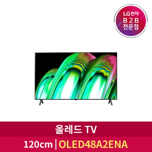 [LG전자] 올레드 48인치 TV OLED48A2E